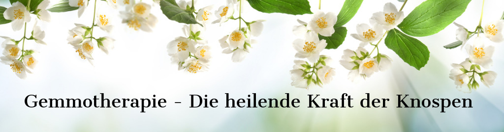 iGemmotherapie -id1154987456 iGemmotherapie -id1154987456